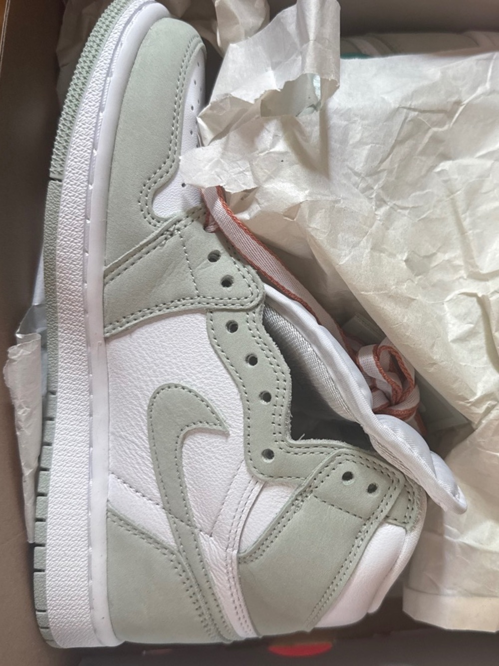 Nike Women’s Air Jordan 1 high tops